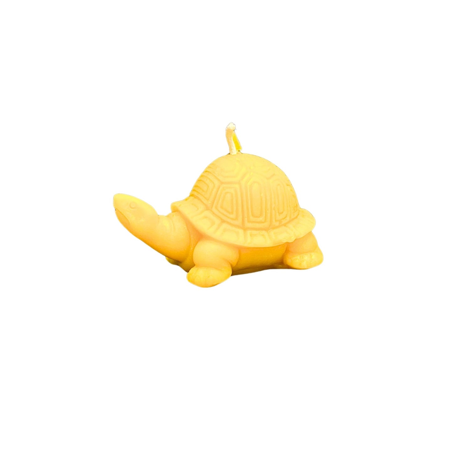 Bienenwachskerze - Schildkröte