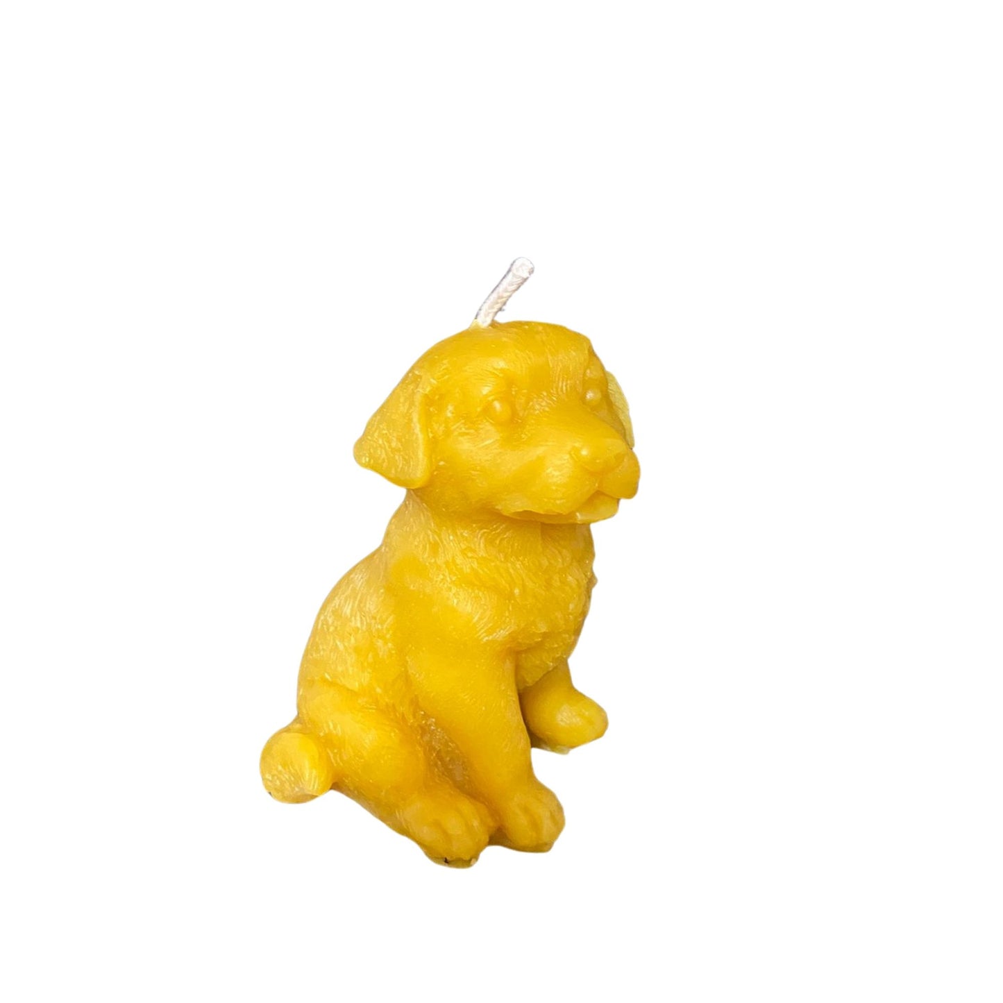 Bienenwachskerze Hund
