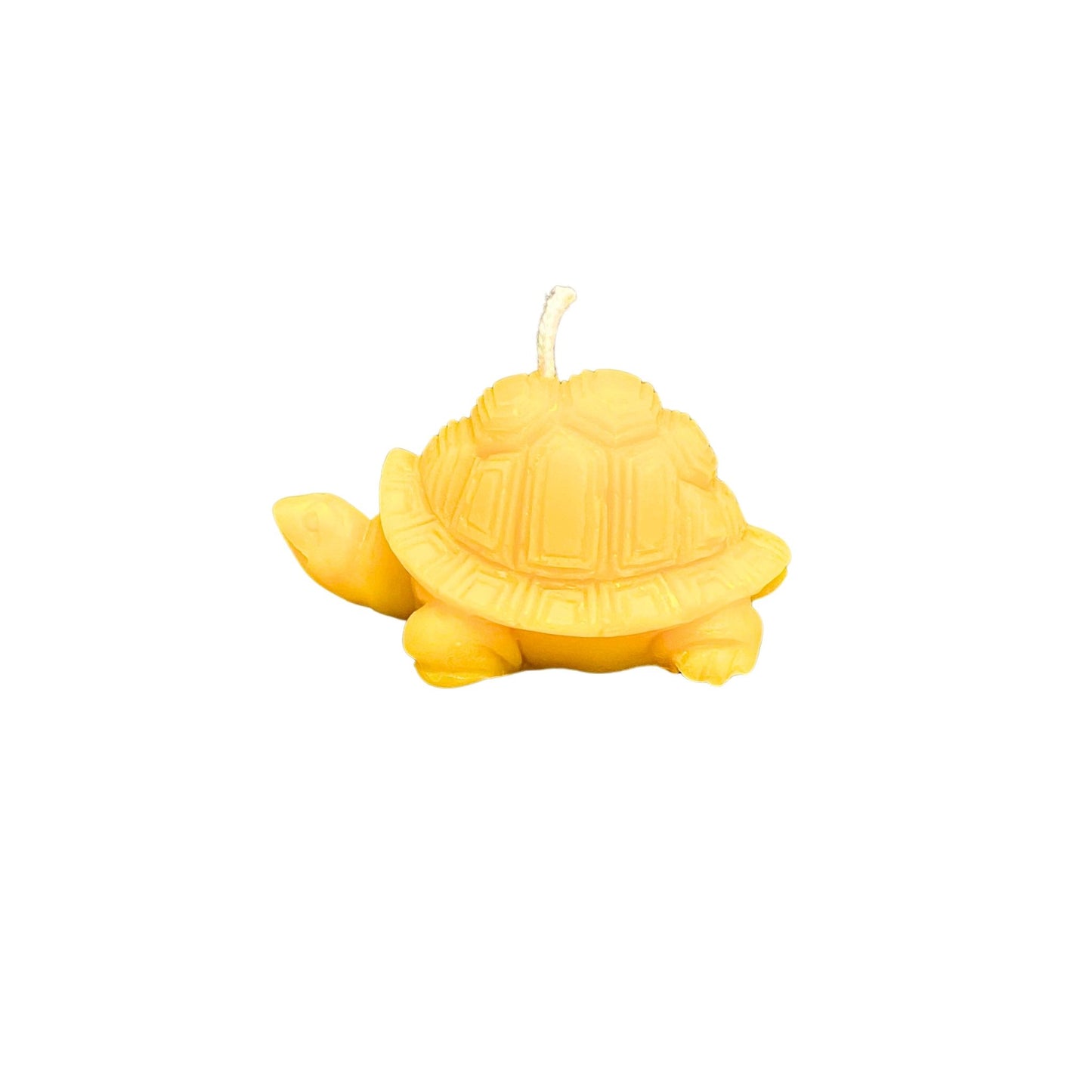 Bienenwachskerze - Schildkröte